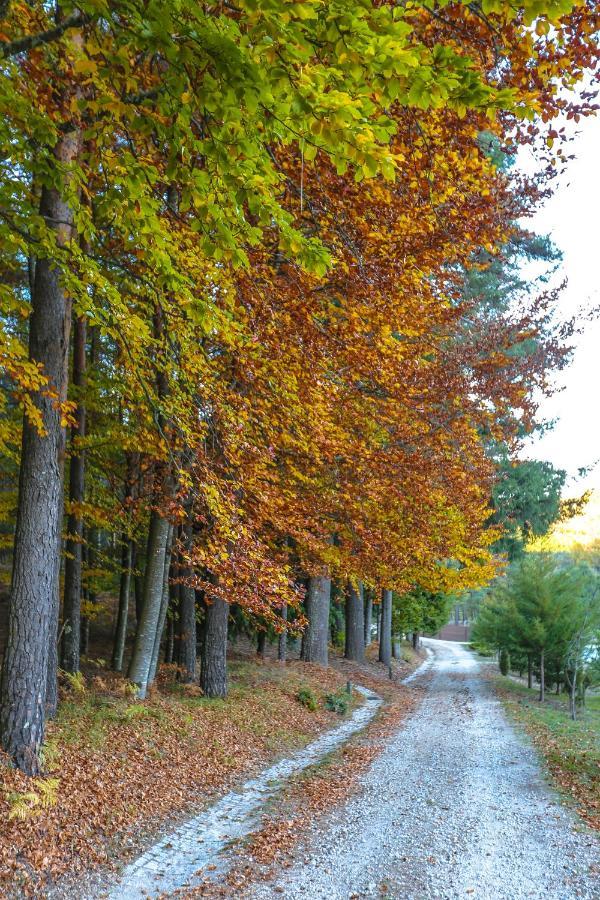 Boticas Parque Natur Houses Exterior photo